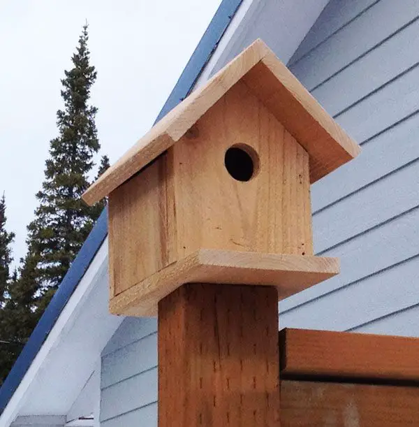 woodworking birdhouse