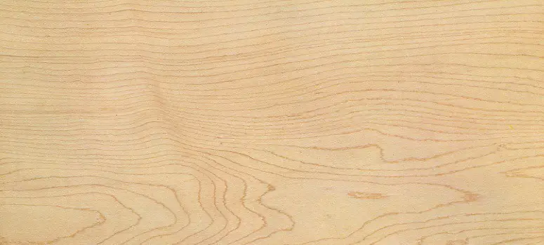 maple wood