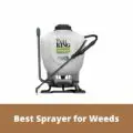 Best Sprayer for Weeds