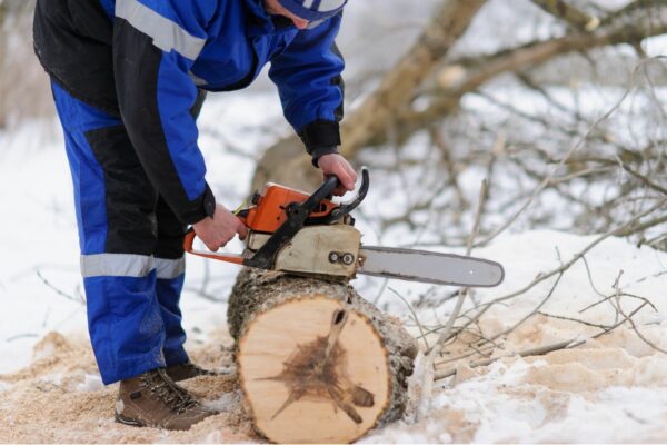 Best Small Chainsaw